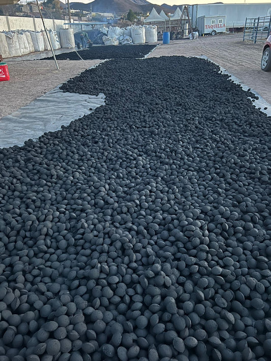 Innovation at Thaan Charcoal