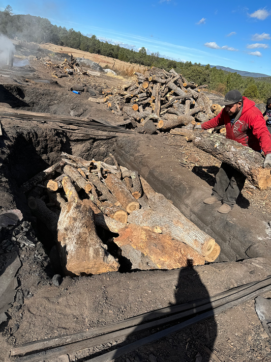 What is Charcoal? How is it Made?
