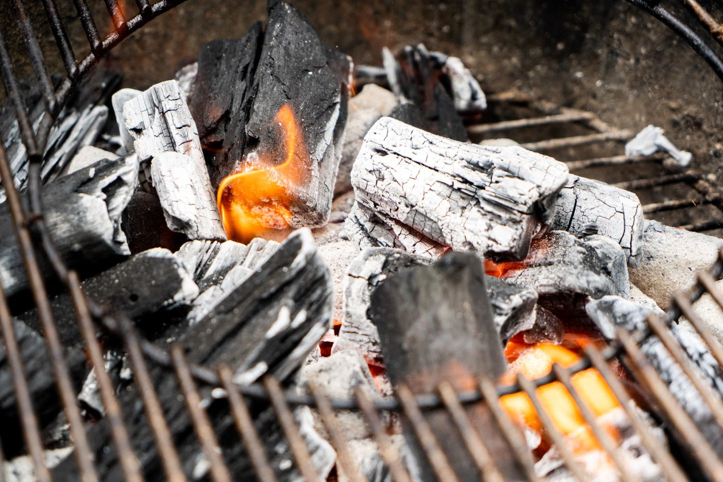 Thaan Charcoal, Large Lump Hardwood Charcoal, 7.7lb